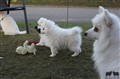IMG_0778.JPG