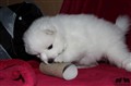 IMG_5895a.jpg
