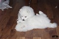 IMG_6126.JPG