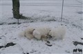 DSC_02091.JPG