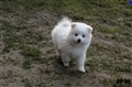 IMG_5742a.JPG