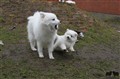 IMG_59211.JPG
