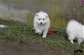IMG_6266.JPG