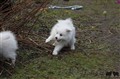IMG_6572.JPG