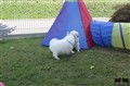 IMG_9741.JPG