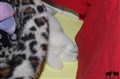 IMG_1273.JPG