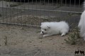 IMG_2373b.JPG