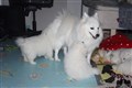 IMG_3159b.JPG