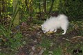 IMG_4995.JPG