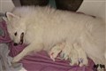 DSC_3350.jpg