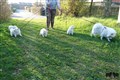 DSC_3609.jpg