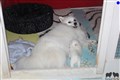 IMG_5504.JPG