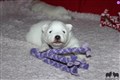 IMG_5575.JPG