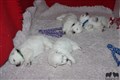 IMG_56011.JPG