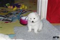 IMG_6563.JPG