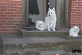 IMG_7622.JPG