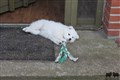 IMG_7955.JPG