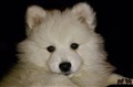 DSC_0095.JPG