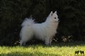 IMG_0023.JPG