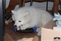 IMG_6111.JPG
