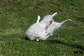 IMG_7557.JPG