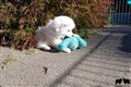 DSC_6612.jpg