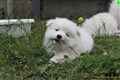 IMG_1434a.JPG