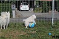 IMG_3074.JPG