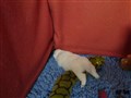 20200716_085824.jpg