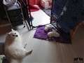 20200717_115525.jpg