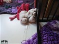 20200717_122957.jpg