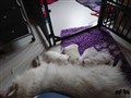 20200717_142537.jpg