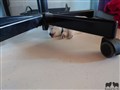 20200718_082713.jpg