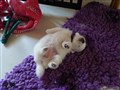 20200718_083848.jpg