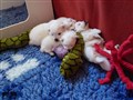 20200718_102558.jpg