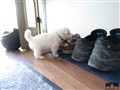 20200718_130553.jpg