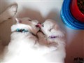 20200718_152752.jpg