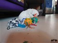 20200719_170317.jpg