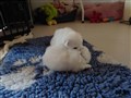 20200720_094444.jpg