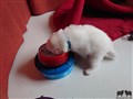 20200720_102200.jpg