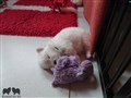 20200720_112437.jpg