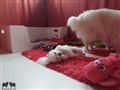 20200721_083944.jpg