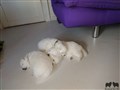 20200721_150143.jpg