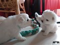 20200721_183529.jpg