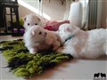 20200721_183654.jpg