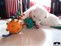 20200721_184158.jpg