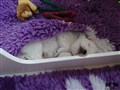 20200723_121936.jpg
