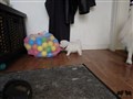 20200724_081849.jpg