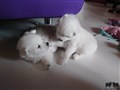 20200724_103936.jpg