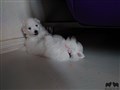20200725_173720.jpg